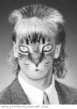 gonzoyearbook