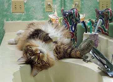 relaxing