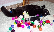 peppertoys