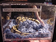 Desert Ghost