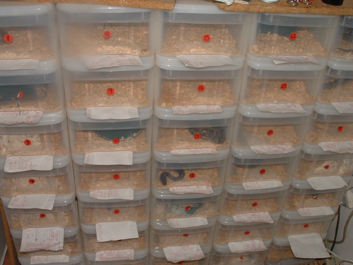 racks by The Container Store