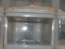 inside view of rack