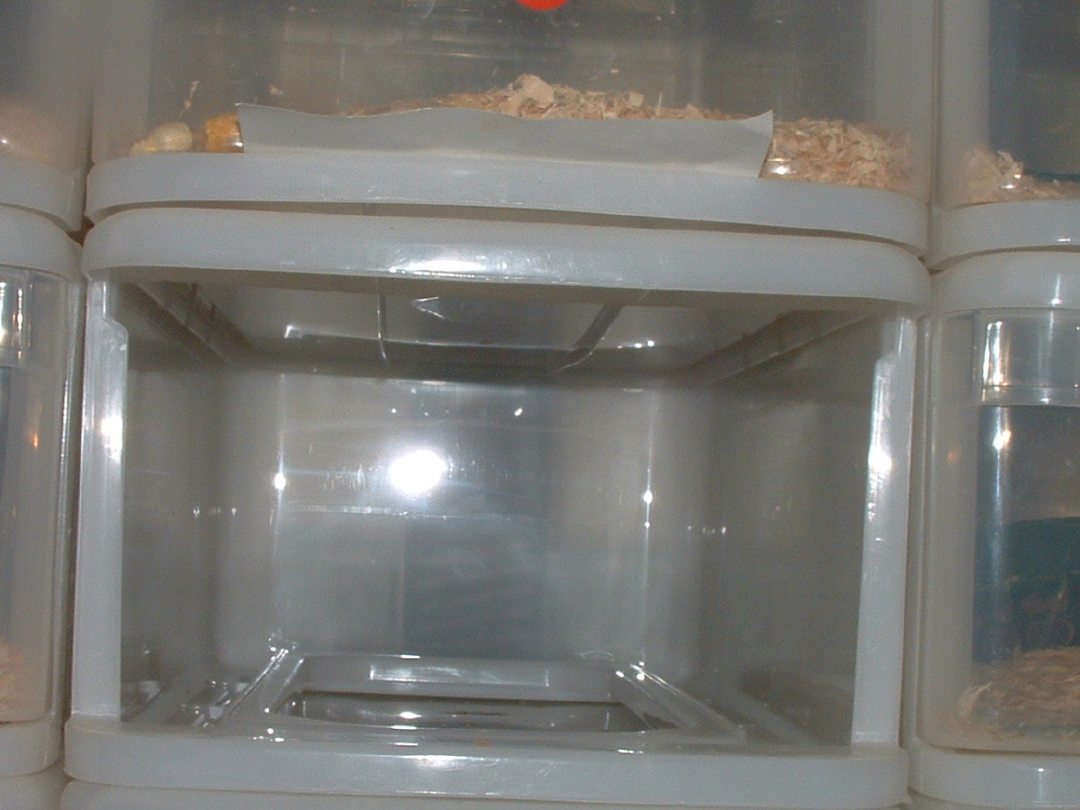 inside view of rack