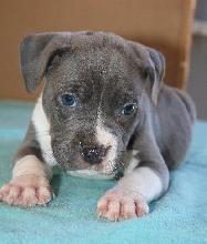 My christmas present