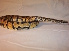 Male Pastel