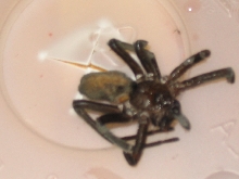 what is this?