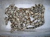 BCI