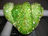 Female Chondro