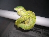 Female Chondro