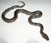 Male #1