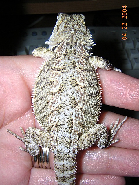 Squishy 1.5 months old