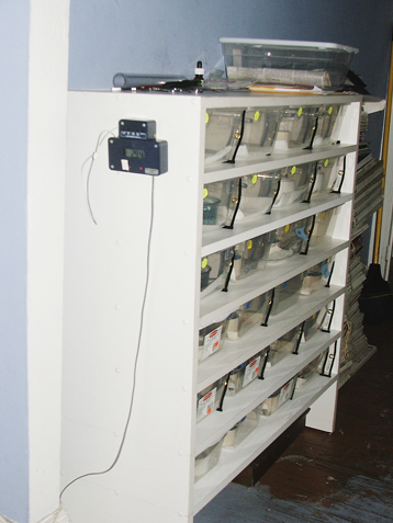 rack system2