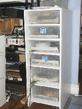 subadult rack system
