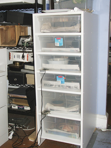 subadult rack system