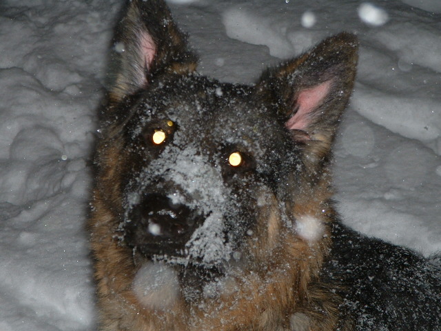 Apollo snow