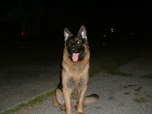 My handsome boy Apollo