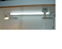 lights & heating