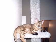 Envy Lounging around