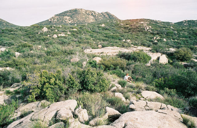 Habitat shot