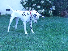 Caught it!  (Mick)