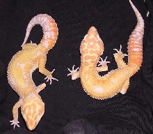 my male and one of the girls