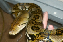 another shot of the big one