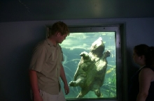Me next to large alli snapper