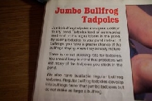 frog column