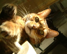 Yukio upside down