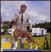 Working Group Boxer