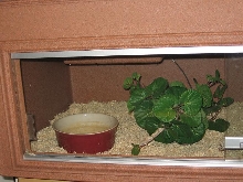 boa cage