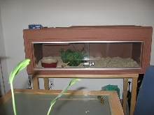 boa cage