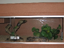 boa cage 2
