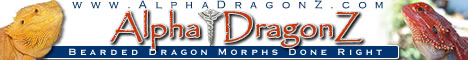 AlphaDragonz Banner
