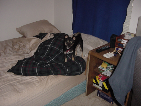Bedtime?
