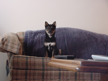 Sitting Pretty