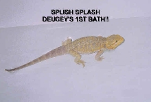 Bath Time