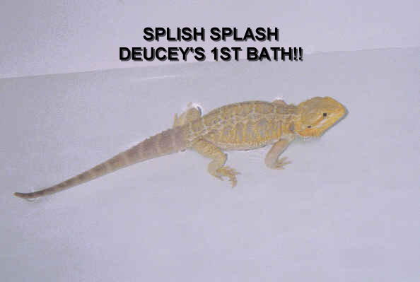 Bath Time
