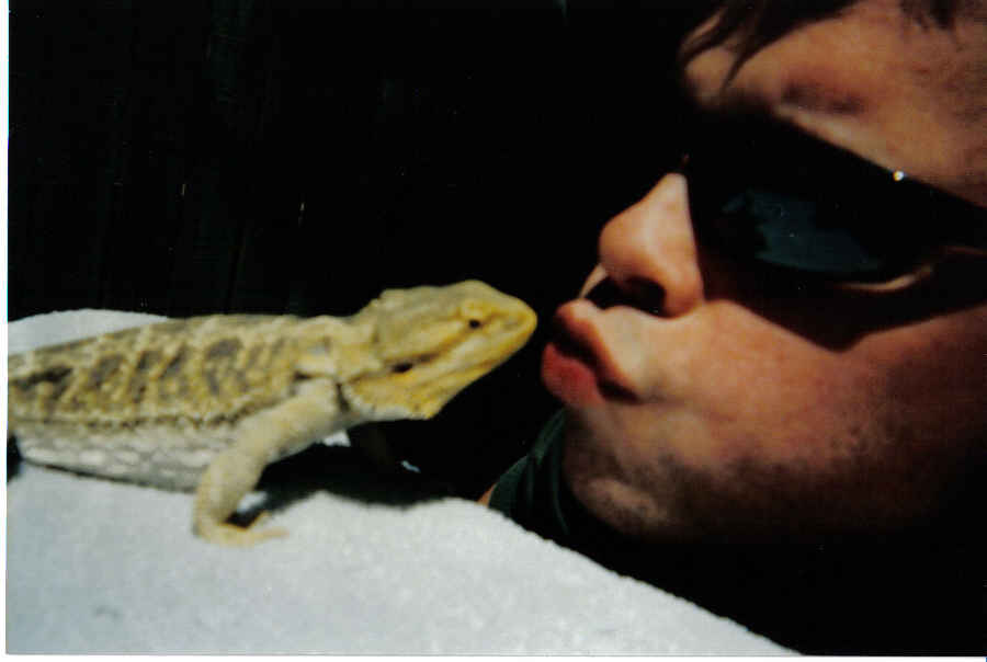 Kisses