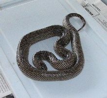 Patternless female