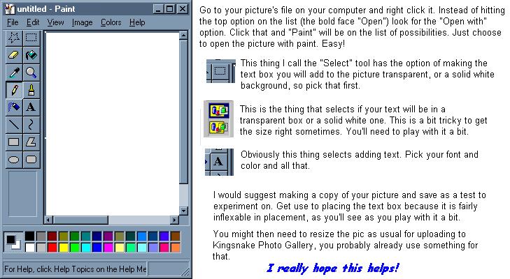 Paint how to
