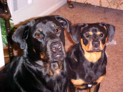 Brandy & Hooch 11-01
