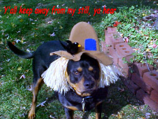 Hooch's Holloween