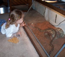 Starting them young...