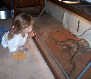 Starting them young...