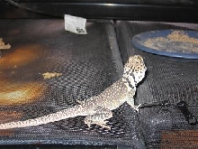 walter9/01
