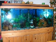 my 75 gal