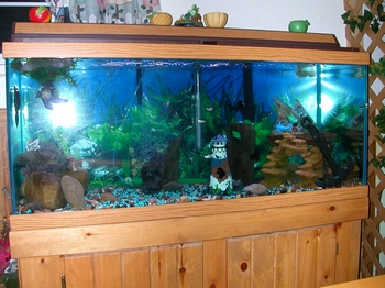 my 75 gal