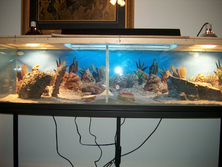 new setup