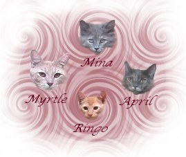 cats